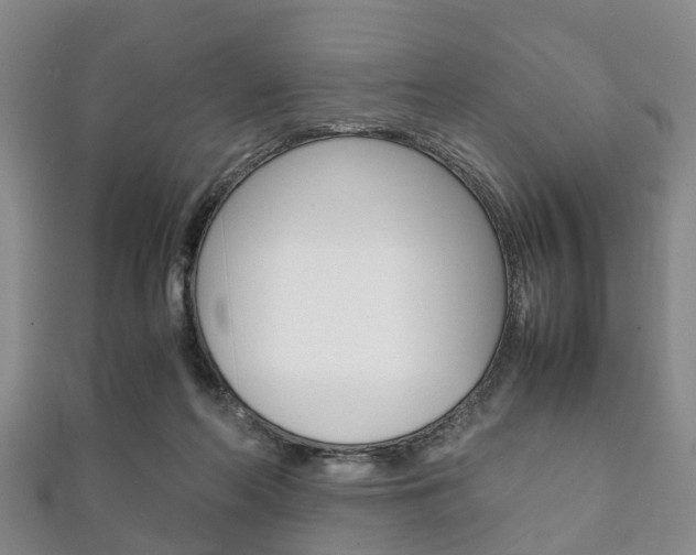 X0000111920214200907271016