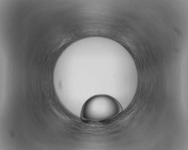 X0000111920215200907271016