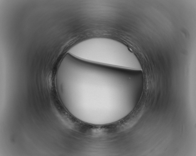 X0000111920216200907271016