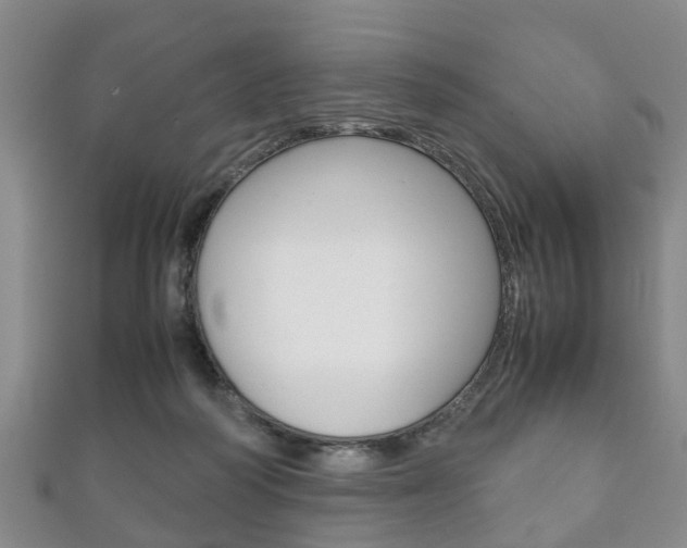 X0000111920218200907271016