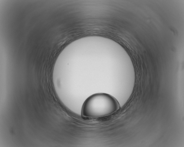 X0000111920219200907271016