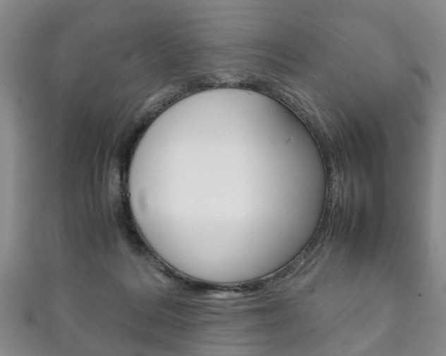 X0000111920220200907271016