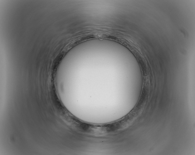 X0000111920221200907271016