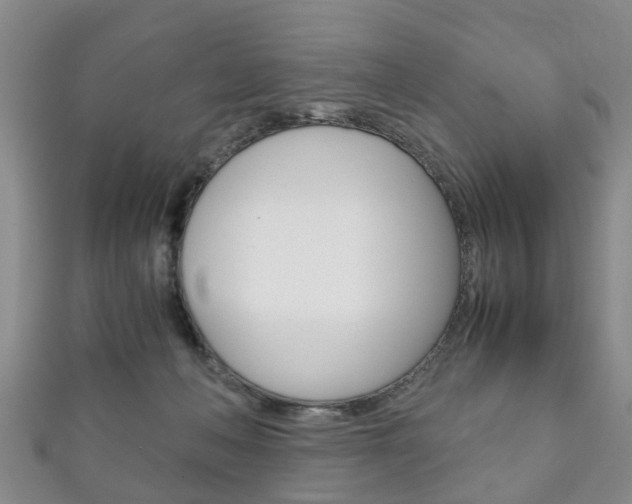 X0000111920222200907271016