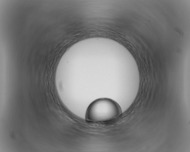X0000111920223200907271016