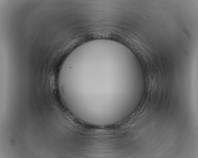 X0000111920224200907271016