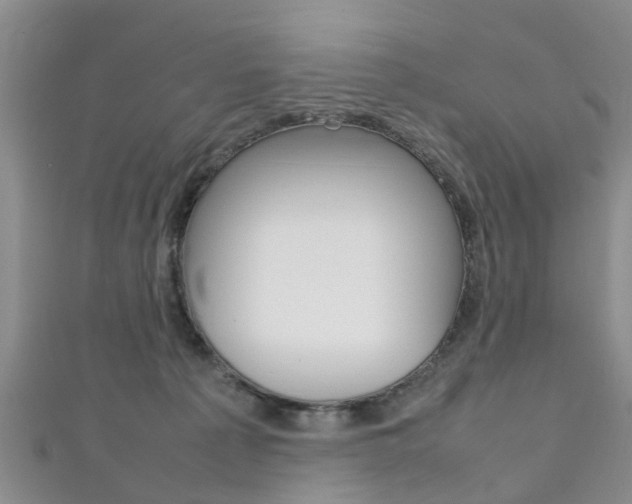 X0000111920225200907271016