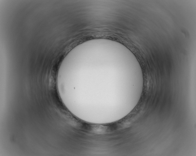 X0000111920226200907271016