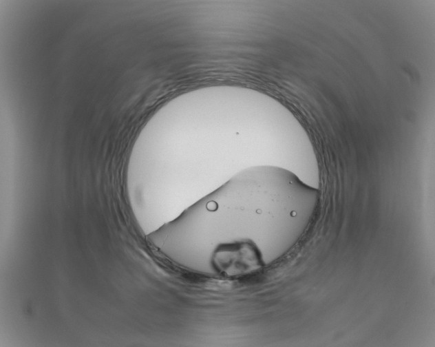 X0000111920227200907271016