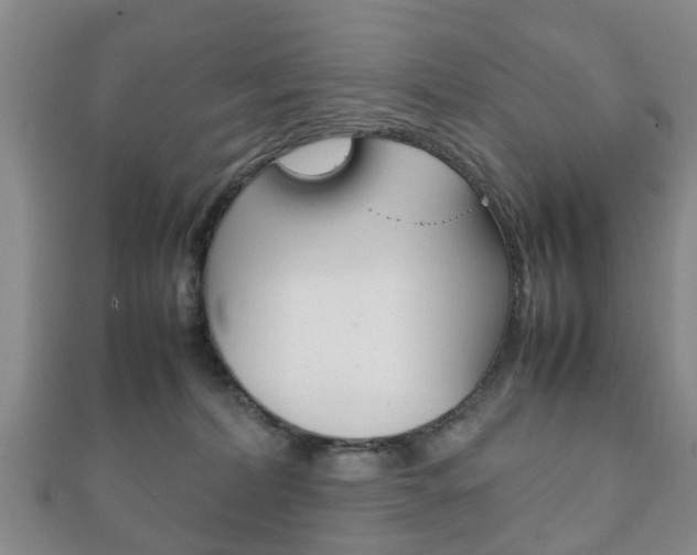 X0000111920228200907271016