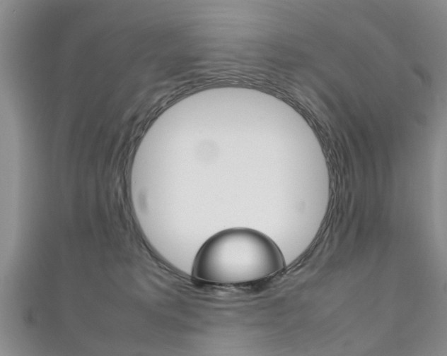 X0000111920229200907271016