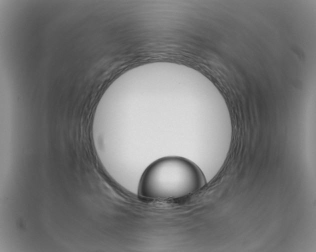 X0000111920231200907271016