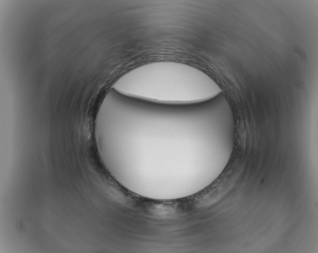 X0000111920232200907271016
