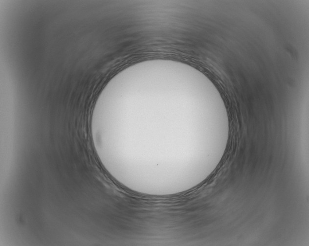 X0000111920233200907271016