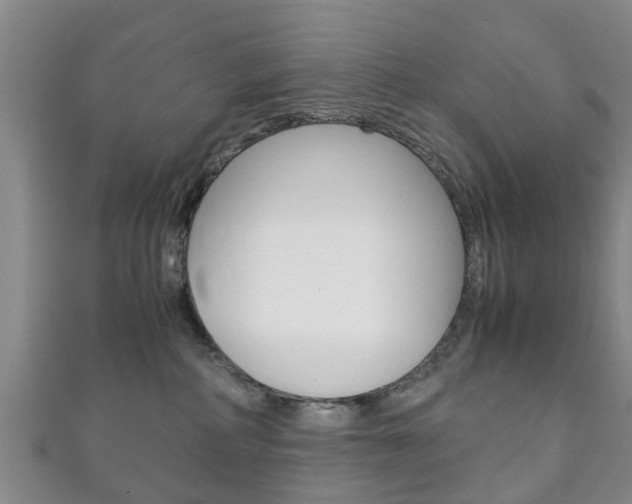 X0000111920234200907271016