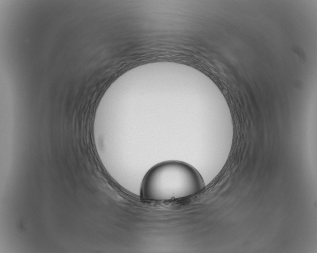 X0000111920235200907271016