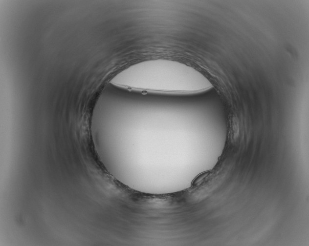 X0000111920236200907271016