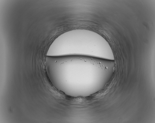 X0000111920237200907271016