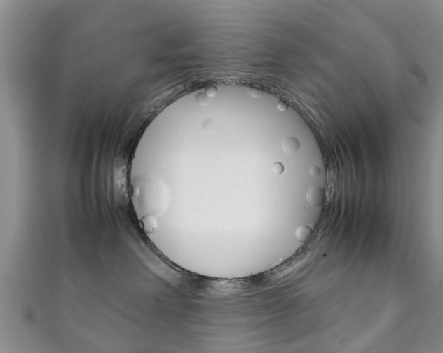 X0000111920238200907271016