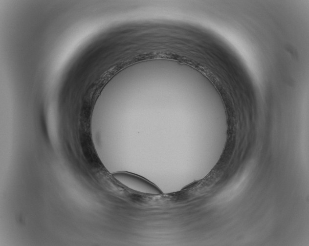 X0000111920239200907271016
