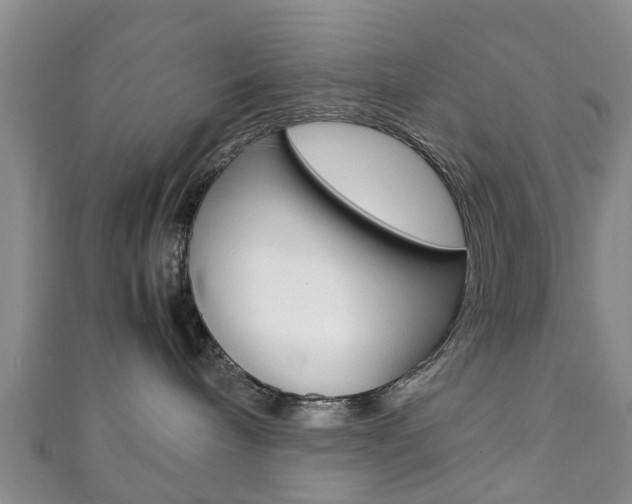 X0000111920240200907271016