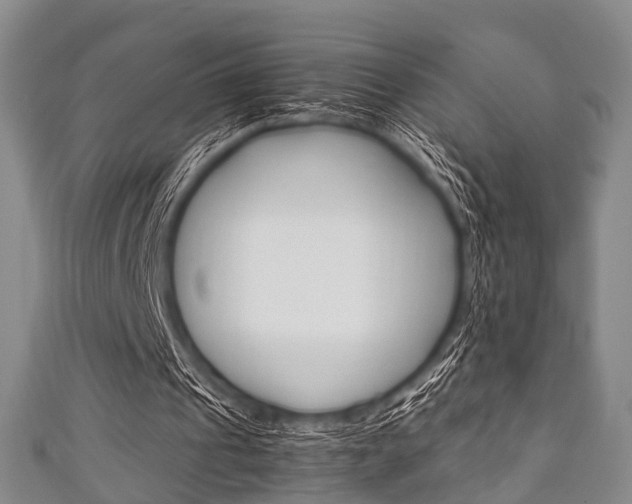 X0000111920241200907271015
