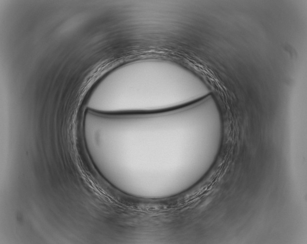 X0000111920242200907271015