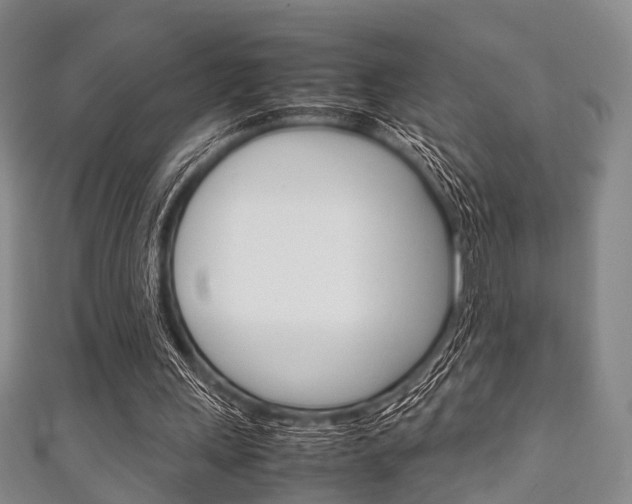 X0000111920243200907271015