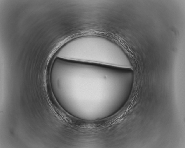 X0000111920244200907271015