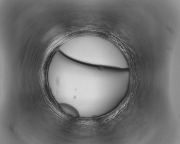 X0000111920245200907271015