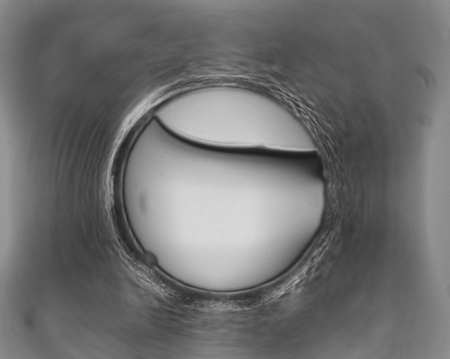 X0000111920246200907271015