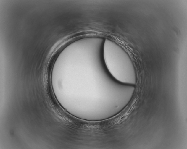 X0000111920247200907271015