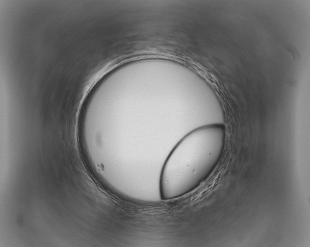 X0000111920248200907271015