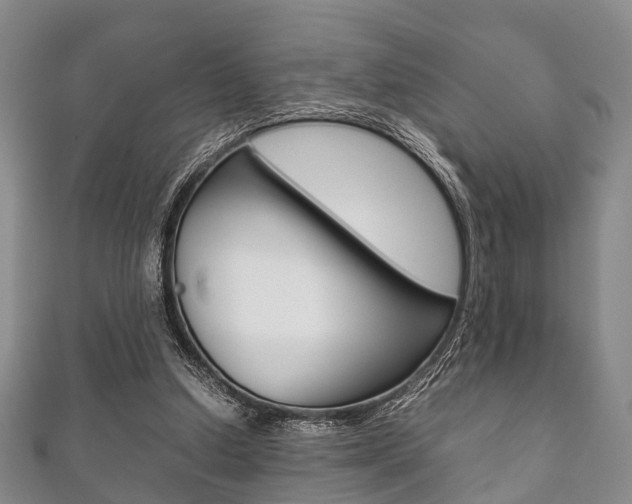 X0000111920250200907271015