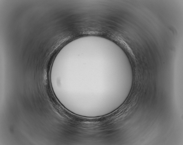 X0000111920251200907271015
