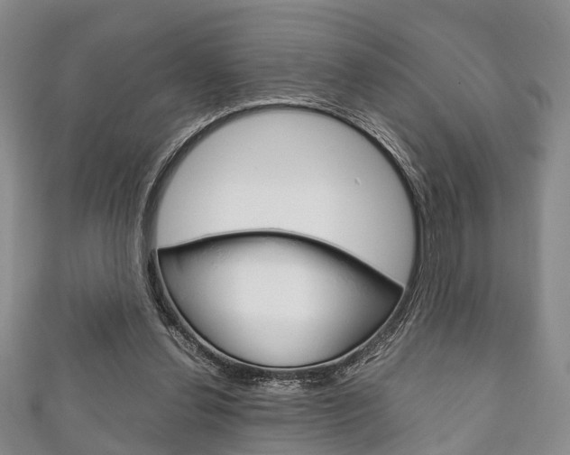 X0000111920252200907271015