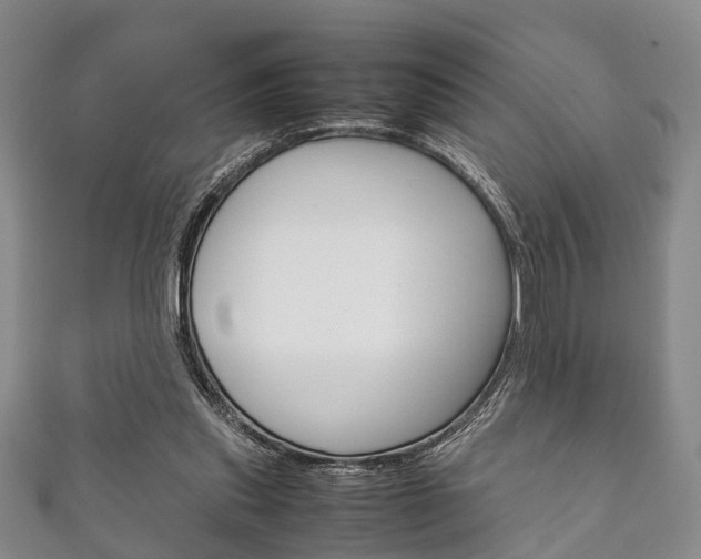 X0000111920253200907271015