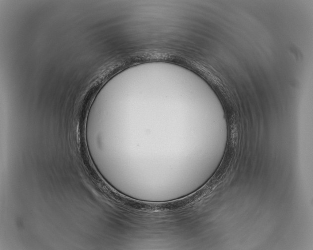 X0000111920254200907271015