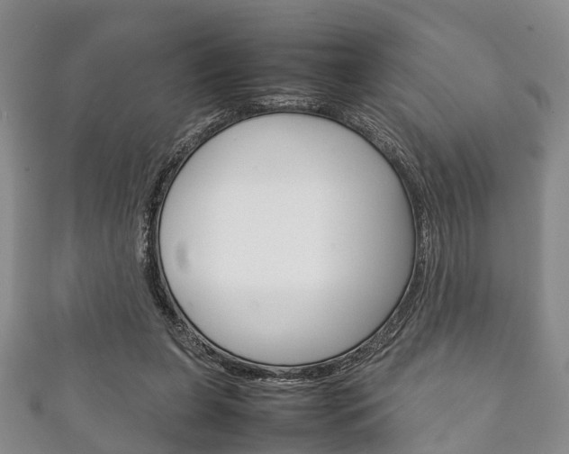 X0000111920255200907271015
