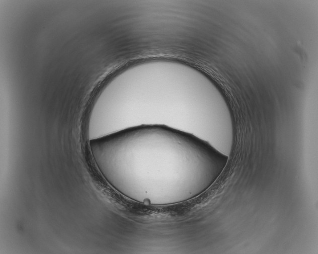 X0000111920256200907271015