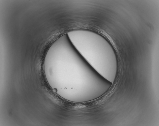 X0000111920257200907271015