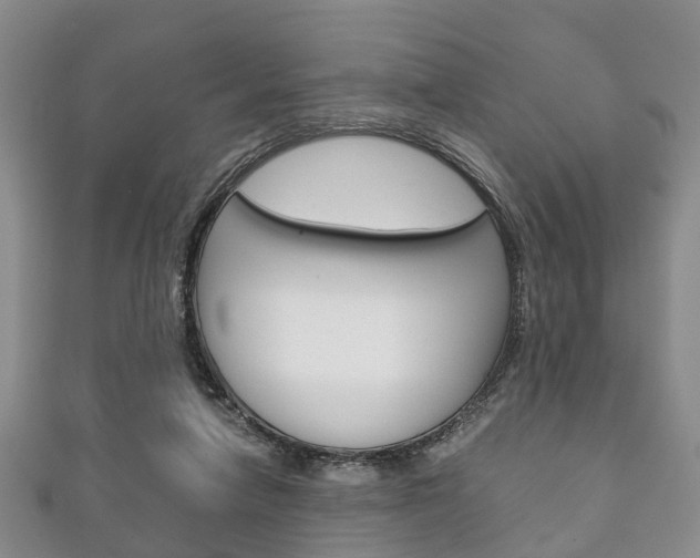 X0000111920258200907271015