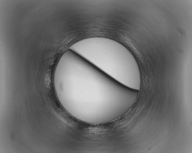 X0000111920259200907271015