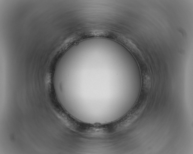 X0000111920260200907271015