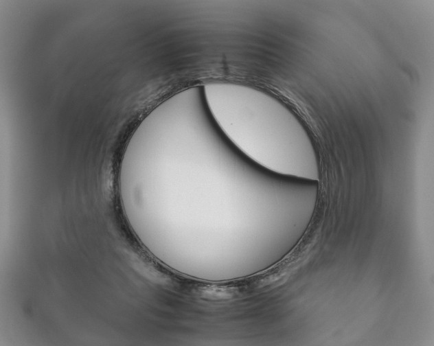 X0000111920261200907271015