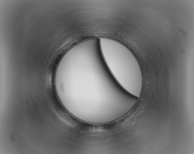 X0000111920262200907271015