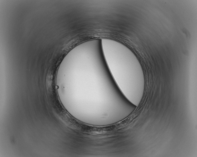 X0000111920263200907271015