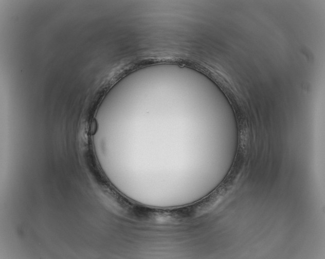 X0000111920264200907271015