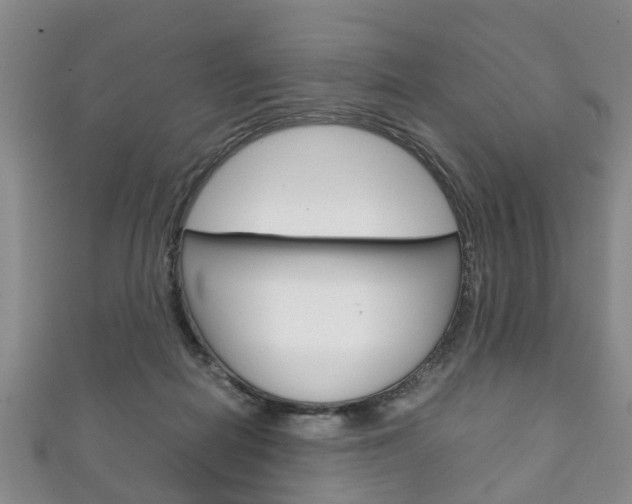 X0000111920266200907271015