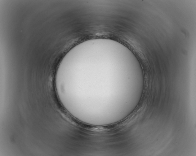 X0000111920269200907271015